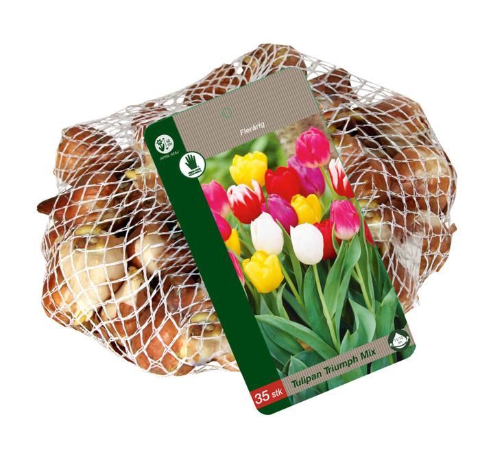 Grønne Fingre® tulipanløg 'Triumph Mix' 35 stk.